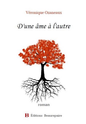D'une âme à l'autre de Véronique Ozaneaux