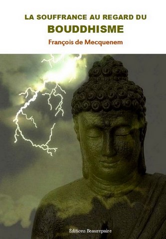 ESSAI-La souffrance au regard du bouddhisme de François de Mecquenem